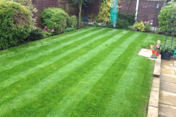 Garden Design